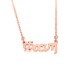 Sterling silver 925°.Fani name necklace on chain