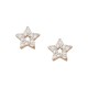 Σκουλαρίκια στικ σχέδιο αστέρι με πέτρες ζιργκόν από ροζ επιχρυσωμένο ασήμι 925°