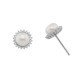 Sterling silver 925°. Rosette pearl earrings