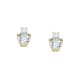 Gold 9ct. Double stone studs